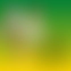 Camel City Elite Preview & Predictions