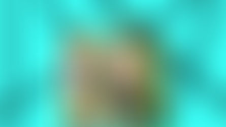 2019 D2 Nationals Preview: 1500