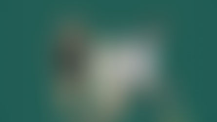 Catching Up on Outdoors