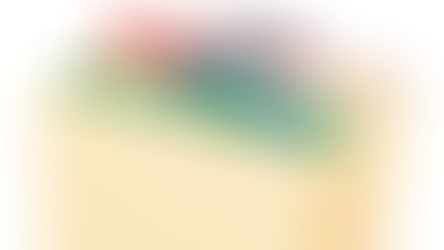 The Power Five Encyclopedia (Women)