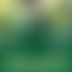 NEWS: Coach Art Siemers to Leave Colorado State