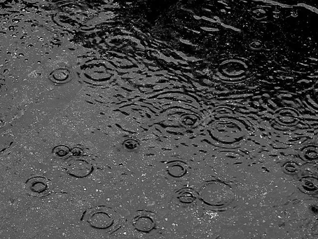 GOTÍCULAS DE CHUVA
