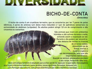 AMARES - BIODIVERSIDADE