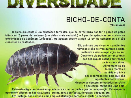 AMARES - BIODIVERSIDADE