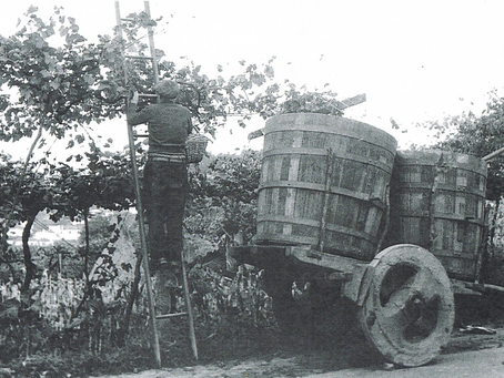 O GARRAFÃO DE VINHO, OS BAGOS E O BACALHAU