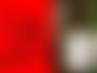 奈良酒BAR　KAYOU　卯月の会