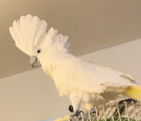 IMG_4183_edited.jpg