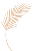 Logo Salt & Springs