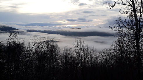 20190211_074107.jpg