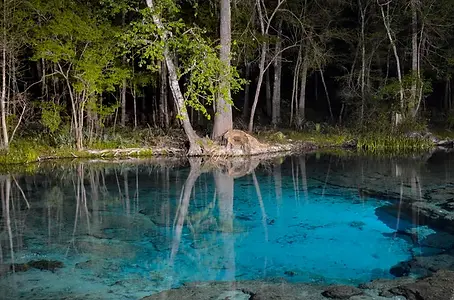 High Springs Florida