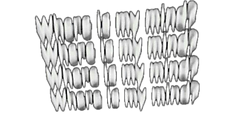 ad4c1a14-b4a9-40c8-a08f-d2706e873501_mod