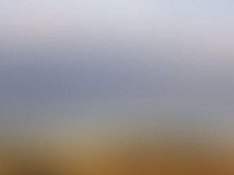 Vast landscape with brown fields and scattered trees under a cloudy sky. A distant forest lines the horizon. Calm and serene atmosphere.