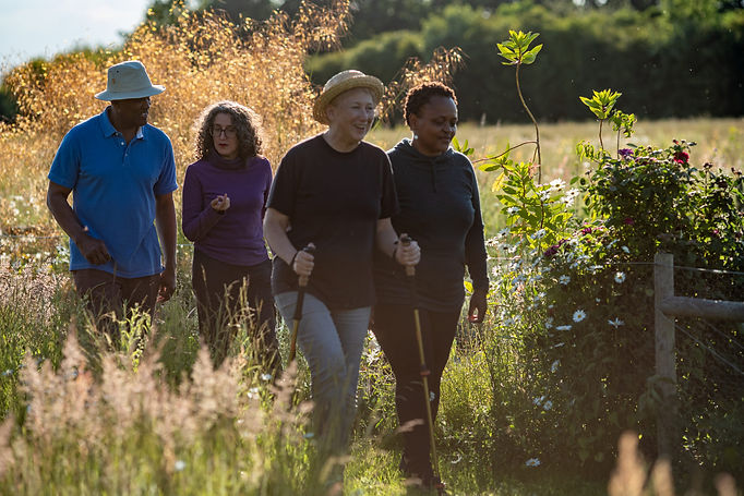 Four people walk on a sunny path, one uses poles with assistance.