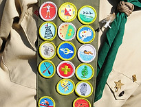 Scouts and Beavers