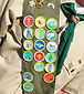 Merit Badges