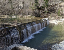 IMG_20200317_152833_edited.jpg