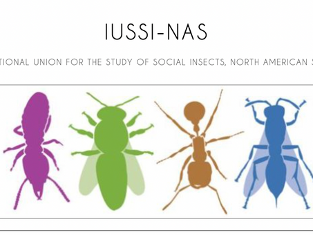 Arjuna wins George C. Eickwort Student Research Award