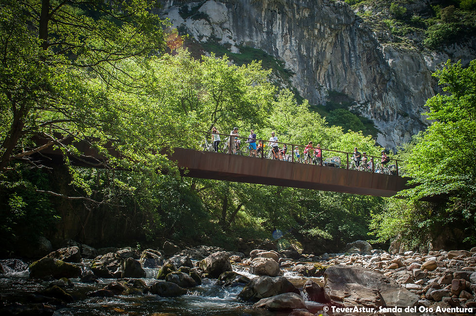 Turistas en bici en puente de la Senda del Oso