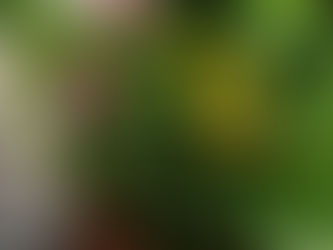 Est-ce que la détox donne plus d’énergie ?