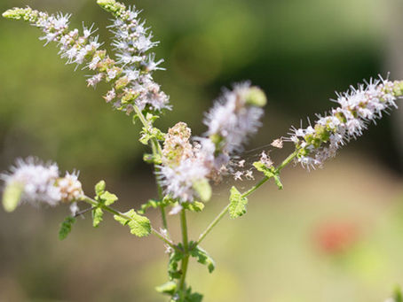 Pourquoi je me réveille entre 2h et 4h du matin ?