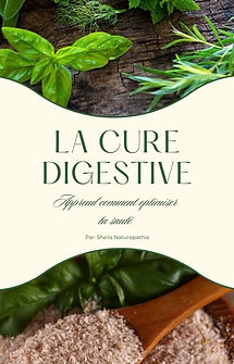 la cure digestive ebbok.jpeg