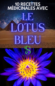 le lotus bleu ebook.jpeg