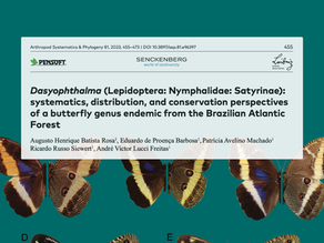 New Article!