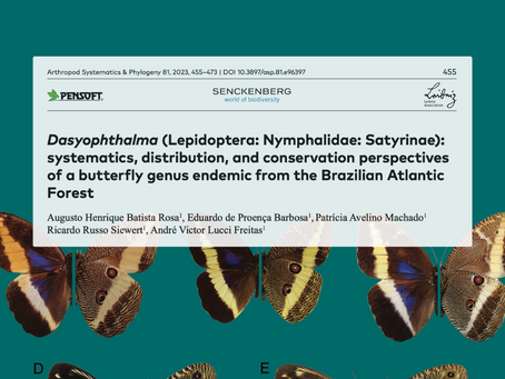 New Article!