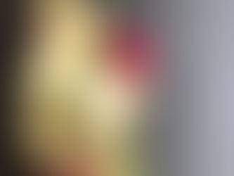 המבורגר ״יום העצמאות״