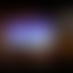 Vortrag von Prof. Heindl am 24.01.2026