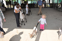 toddler and pygmy.jpeg