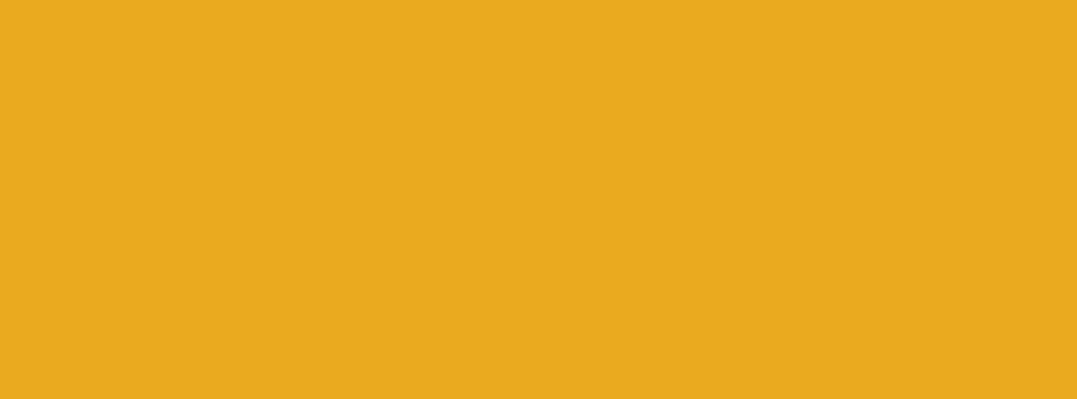 orange 1.png