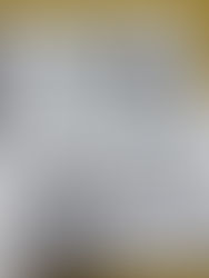 **Fact-Checking the Smithtown News: Freight Train Yard Zoning & Public Opposition*