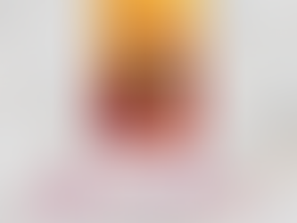 Playing with Fire Book Tour Highlights