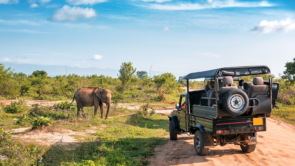 jeep safari