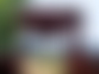 Satpura National Park Travel Guide: Best Time to Visit, Safari Options & Tips