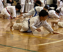 IMG_8656_edited.jpg