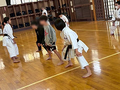 IMG_8803.JPEG