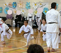 IMG_8720_edited.jpg