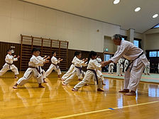 IMG_2173.JPEG