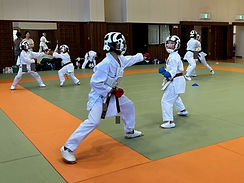IMG_7555_edited.jpg