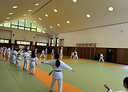 IMG_9854.JPEG