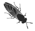 icon product.png