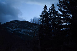 The Moon