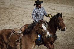 Cowboy