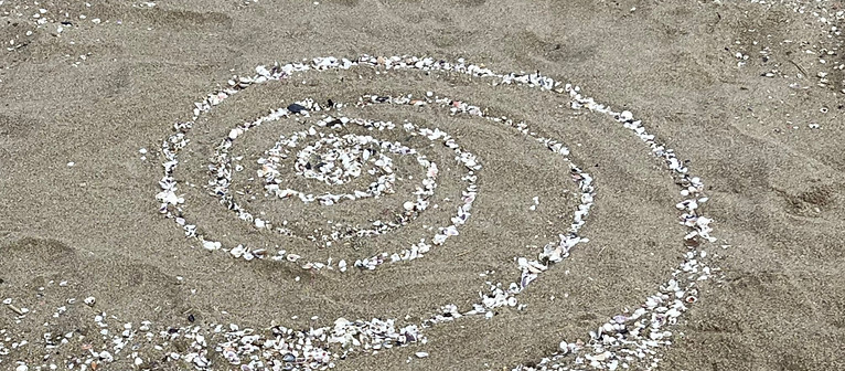 IMG_5637_Muschelspirale gross_edited.jpg