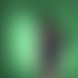 Wild Horses - "Eleanor Rigby"