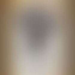 Crow Bunty -'Tonky Honk Tractor Remix'