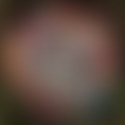 Leslie Craig - 'Paper in Fire'