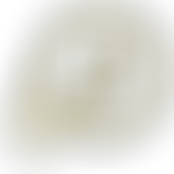 We Are The Music Makers (W.A.M. Awards) Announces 2023 Award Recipients 